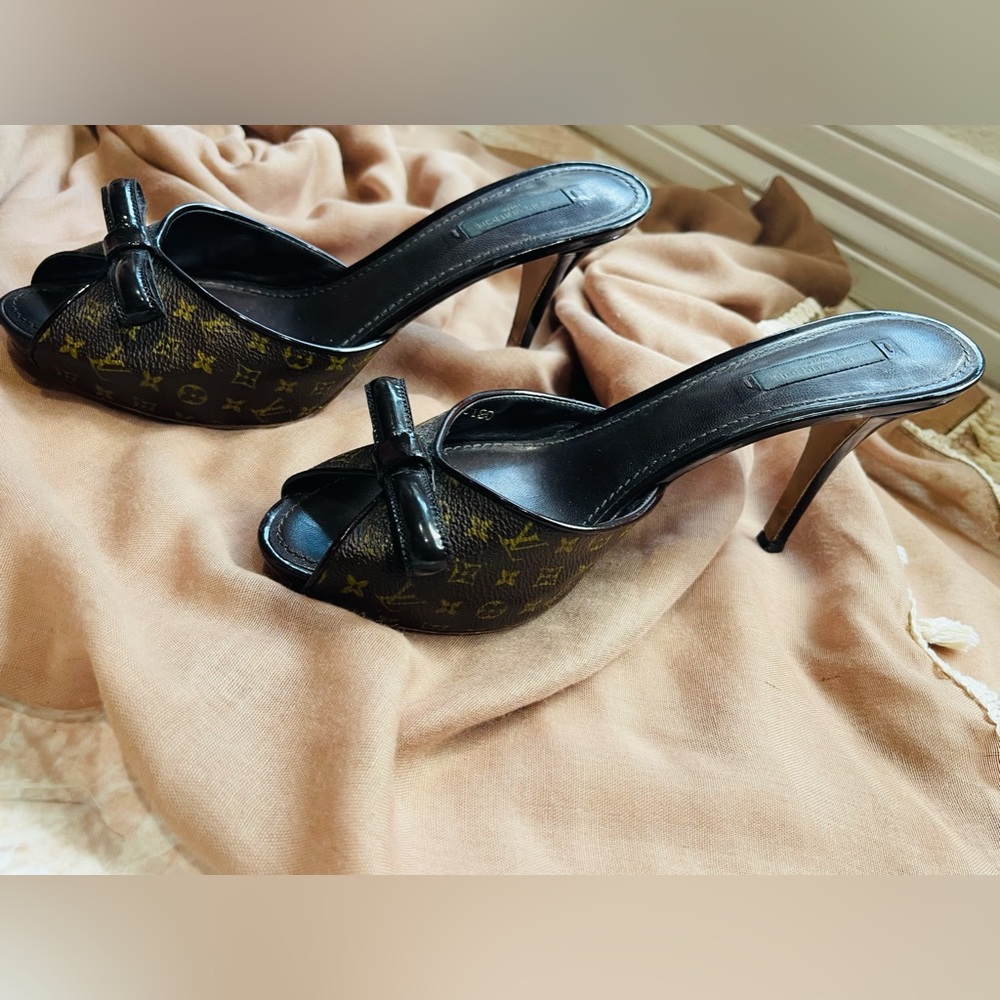 Louis Vuitton Canvas Printed Slide